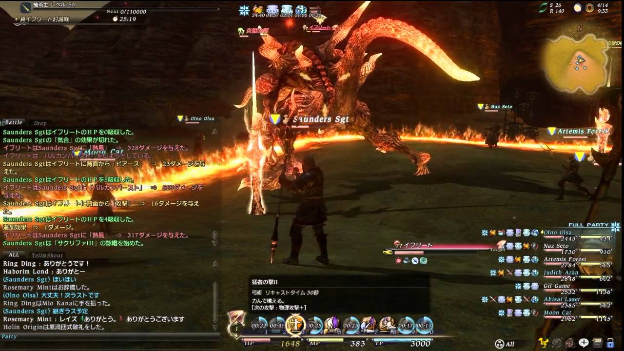 真イフリート討滅戦 槍術士 視点