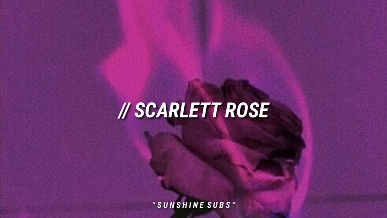 In My Beautiful Garden - Scarlett Rose (sub Espa&ntilde;ol)