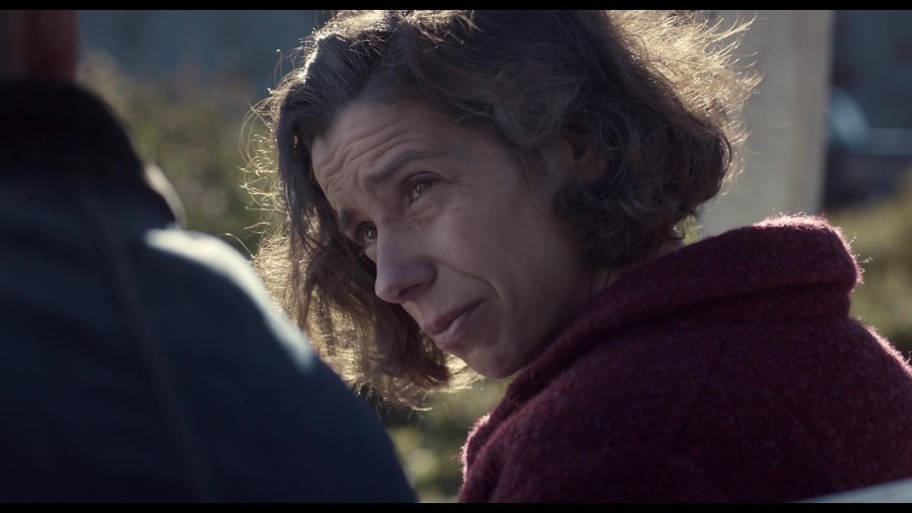 Sally Hawkins/Ethan Hawke MAudiE (2016) clip &ldquo;Love declaration&rdquo;
