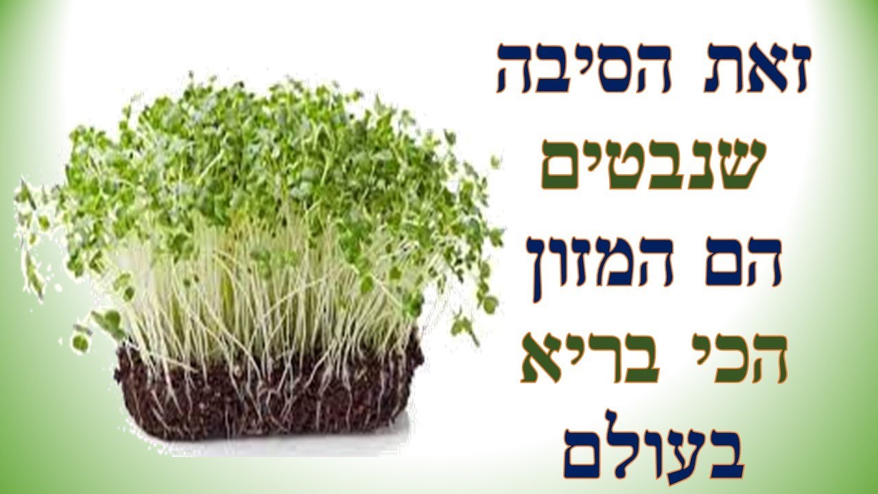 מה הסיבה שנבטים הם המזון הבריא בעולם ? | שי חורש נטורופת | תזונה בריאה  🍏
