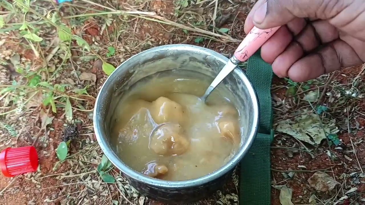 കാട്ട് പഴവും കഴിച്ച് ഒര് camping . Camping in wild area.