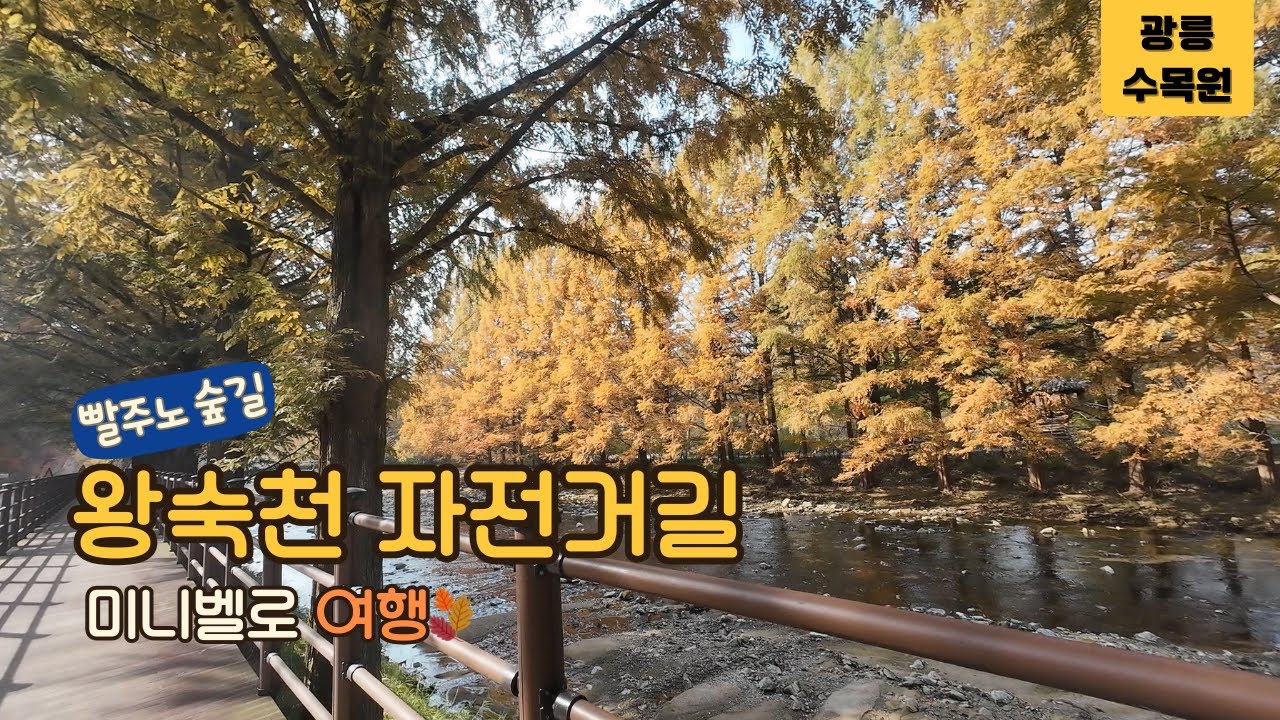 올림픽공원 → 광릉수목원 → 별내 (미니벨로 여행 ASMR | 65km · 왕숙천)