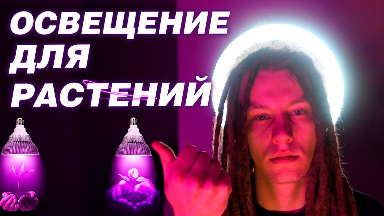 Фитолампы для рассады 💡 Зачем нужен фитосвет 💡 Какая фитолампа лучше подойдет именно вам?