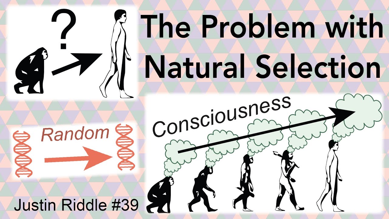 #39 &ndash; The Problem with Natural Selection: exploring modern mechanisms for evolution
