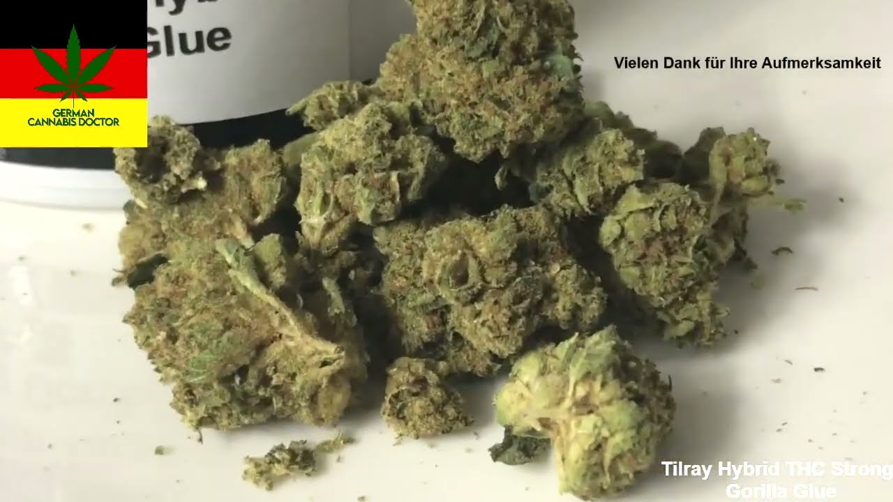 Cannabis legal: Tilray Hybrid THC Strong Gorilla Glue (medizinisches Cannabis auf Rezept)