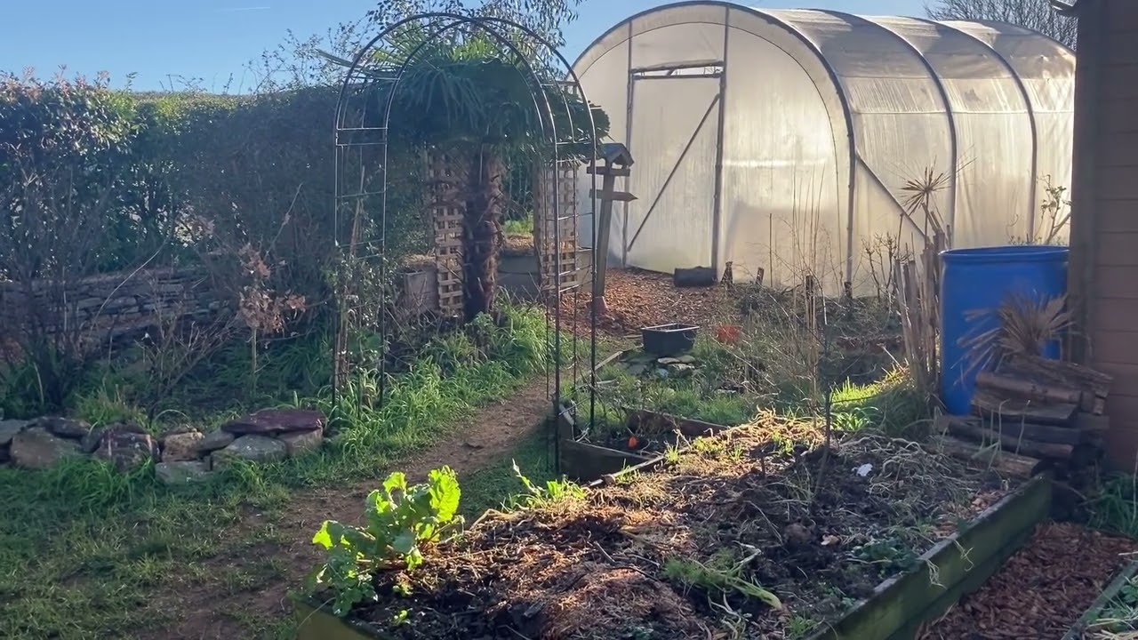 Démarrer un potager en 2025, 5 conseils pour bien démarrer