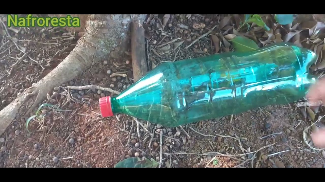 Armadilha de garrafa pet  estilo que boia pegou muito peixe 🐟 🐟  segundo tipo de Armadilha do canal