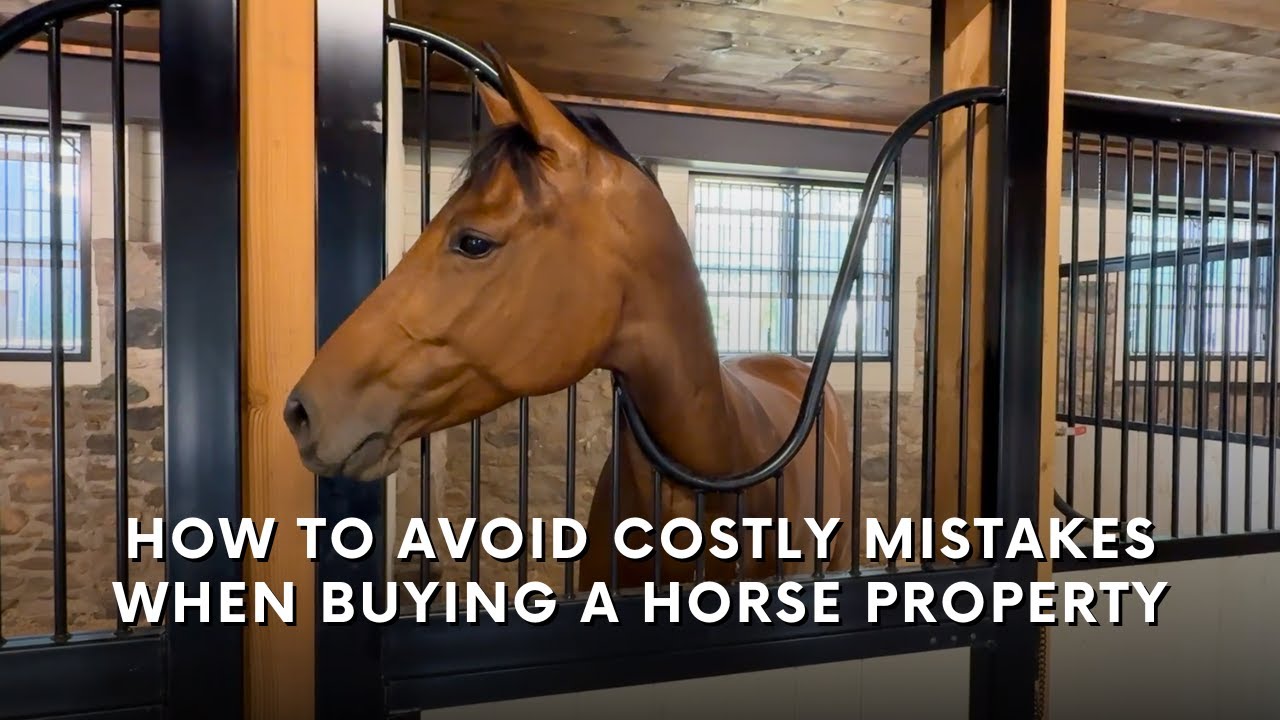 Tips to avoid costly mistakes when buying a horse farm or equestrian facility