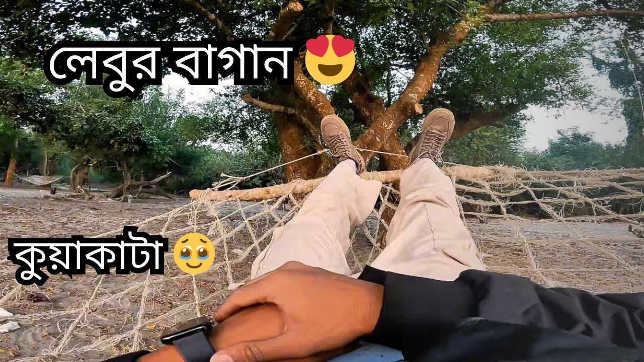লেবুর বাগান 😍। ঢাকা টু কুয়াকাটা | Dhaka to Kuakata