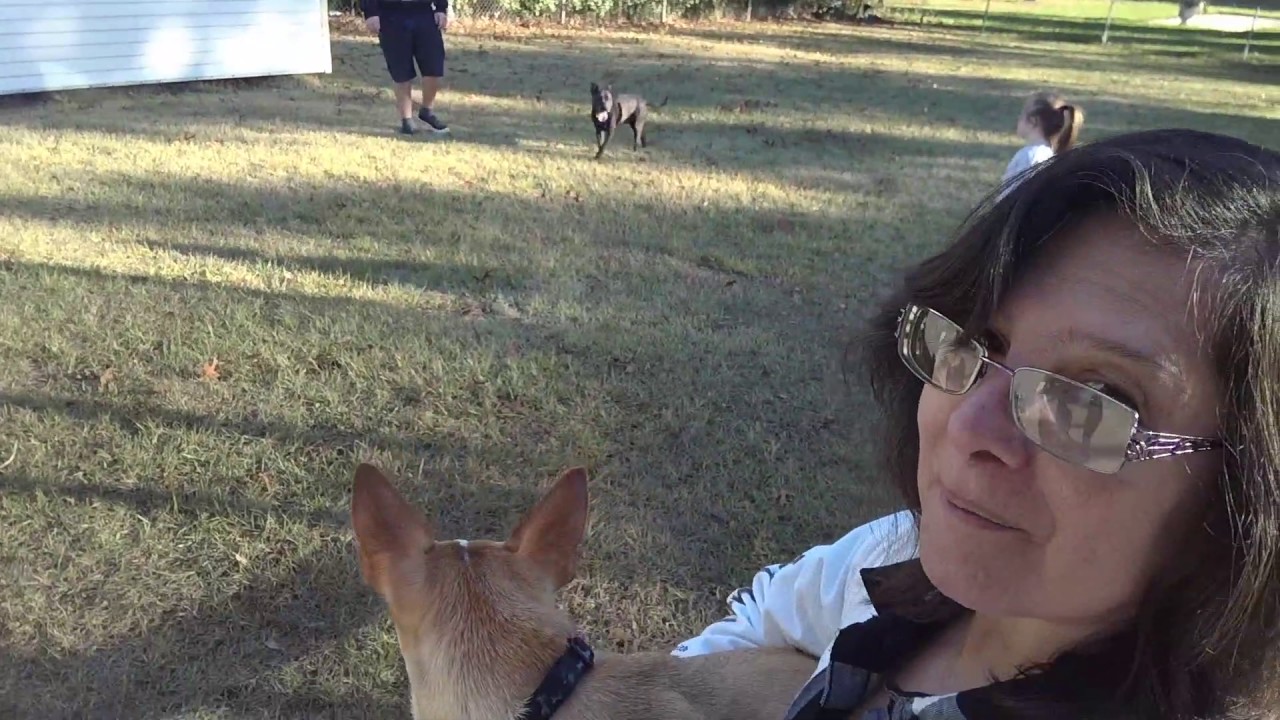 Grandma Comes to Town