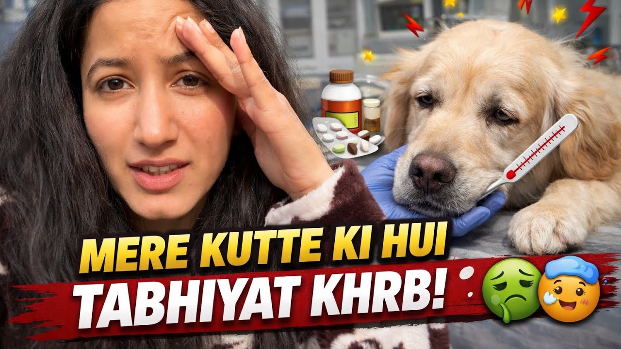 Friend Ka Surprise ❤️ | Street Momos & Creepy Moment 😳 | Daily Vlog 