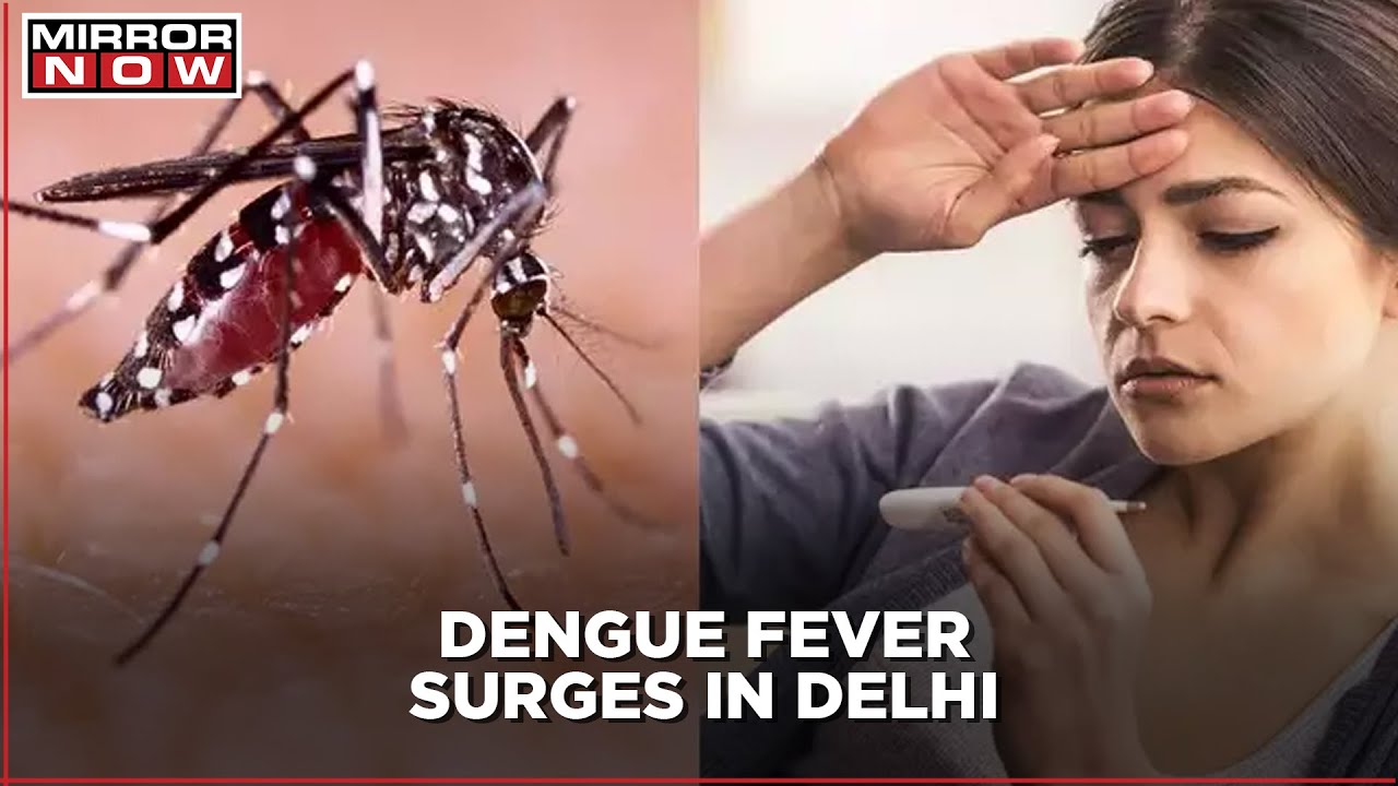 High Court Calls Out Delhi Administration For Failing to Control Dengue Fever & Populist Policies