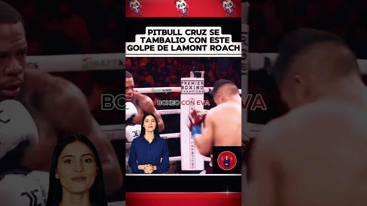 Pitbull Cruz se tambaleó con este golpe de Lamont Roach 