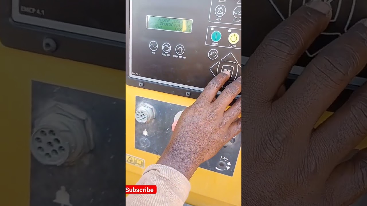 Generator cat display