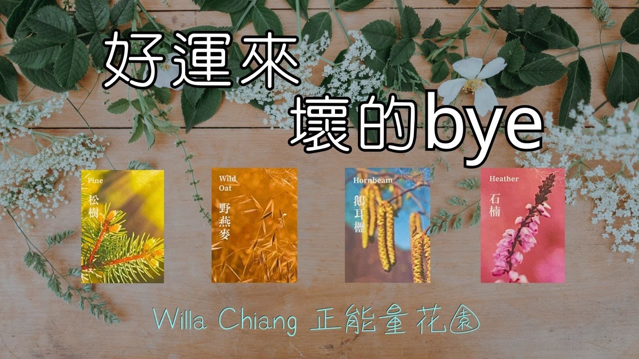🔮 能量流動大揭密｜什麼會離開你？哪些好運正在眷顧你？💫完整占卜 2 小時｜無時間限制 🌈｜EP188｜CC 字幕