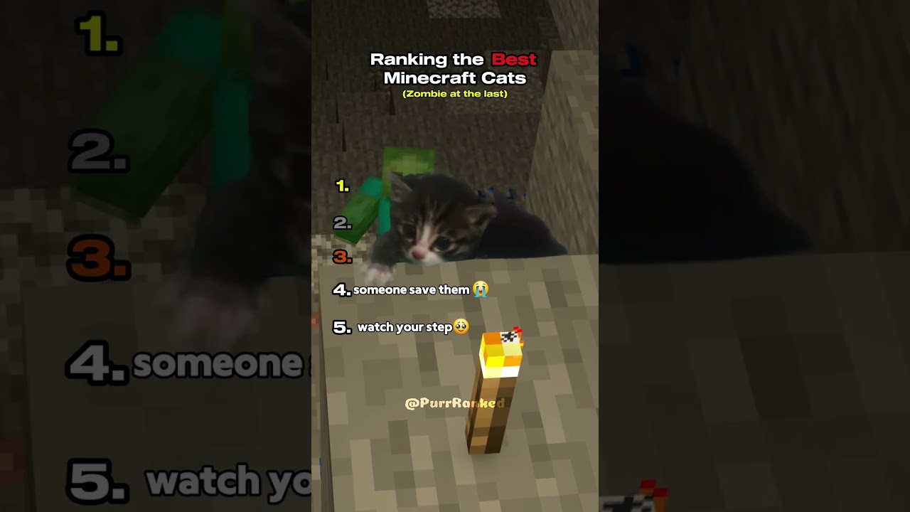 Ranking the Best Minecraft Cats 🐈