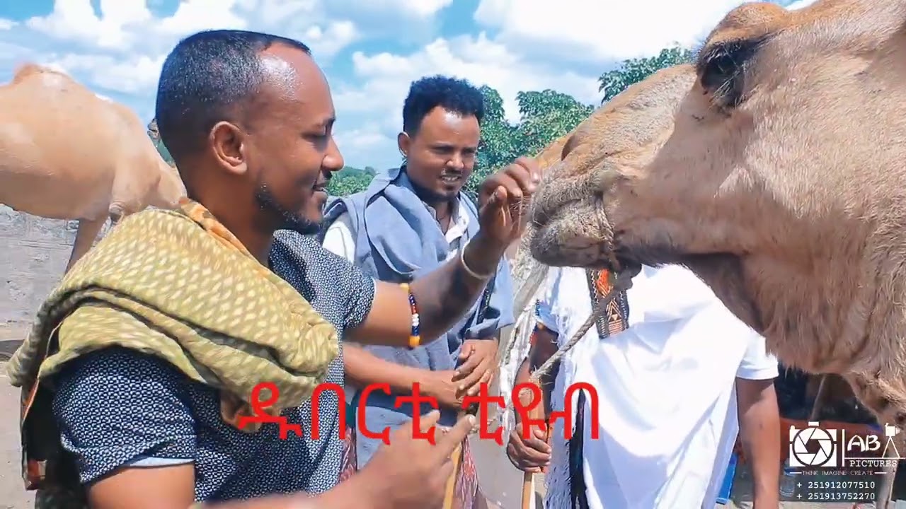 የሚገርም ነገር #ሙለወርቅ አድሴ ( ሳሳ መገና#ተጋበዙልኝ