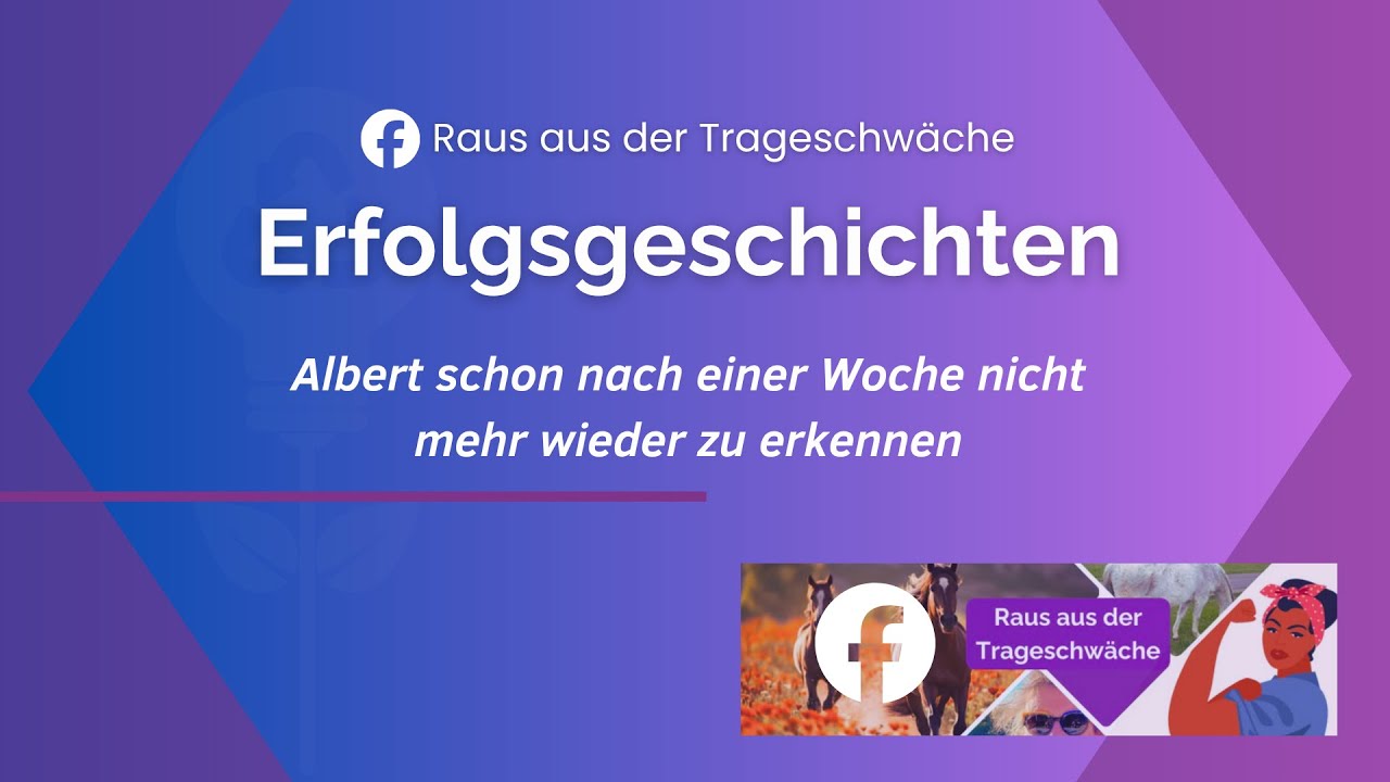 Pferd selbst therapieren mit der richtigen Anleitung  | Pferdegesundheit | Karin Kattwinkel