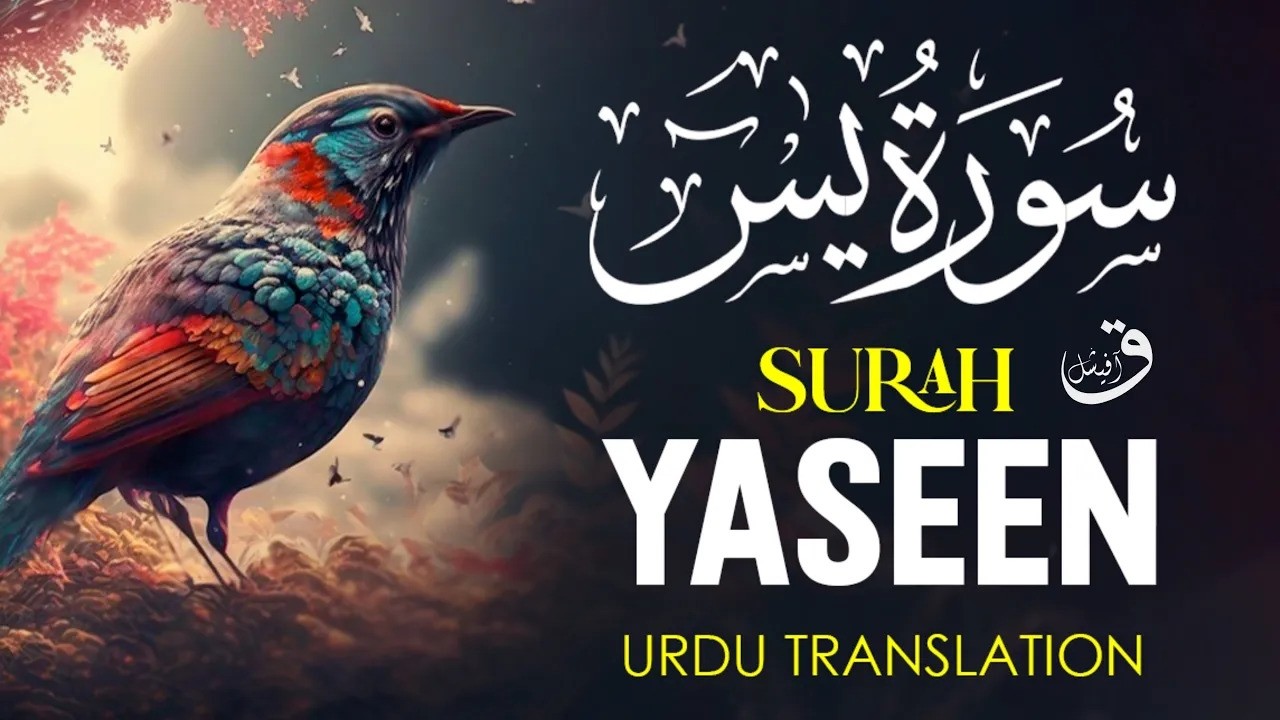 Surah Yasin (Yaseen) with Urdu Translation Quran Tilawat Beautiful Voice سورۃ یاسین