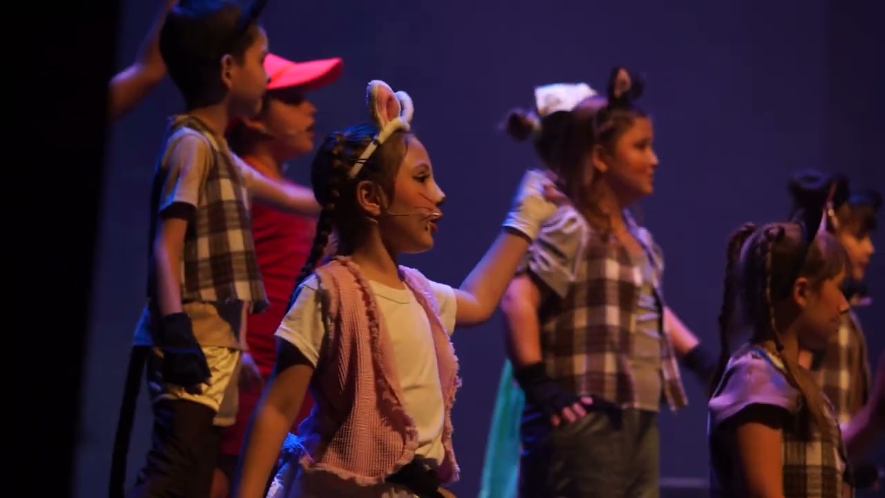 “Vida de gatos” – Comedia Kids (14/12) ESTUDIO 6