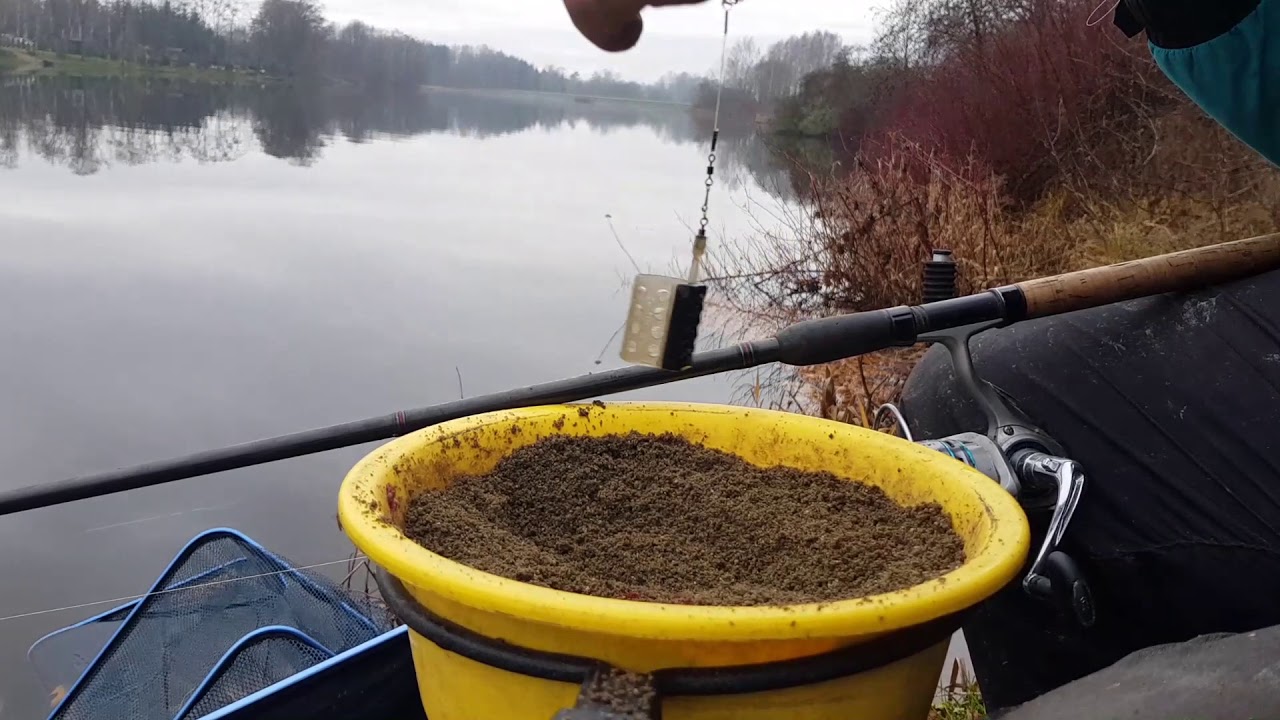 Gaižėnų Tvenkinys Lapkritį - Feederis 2017 11 25