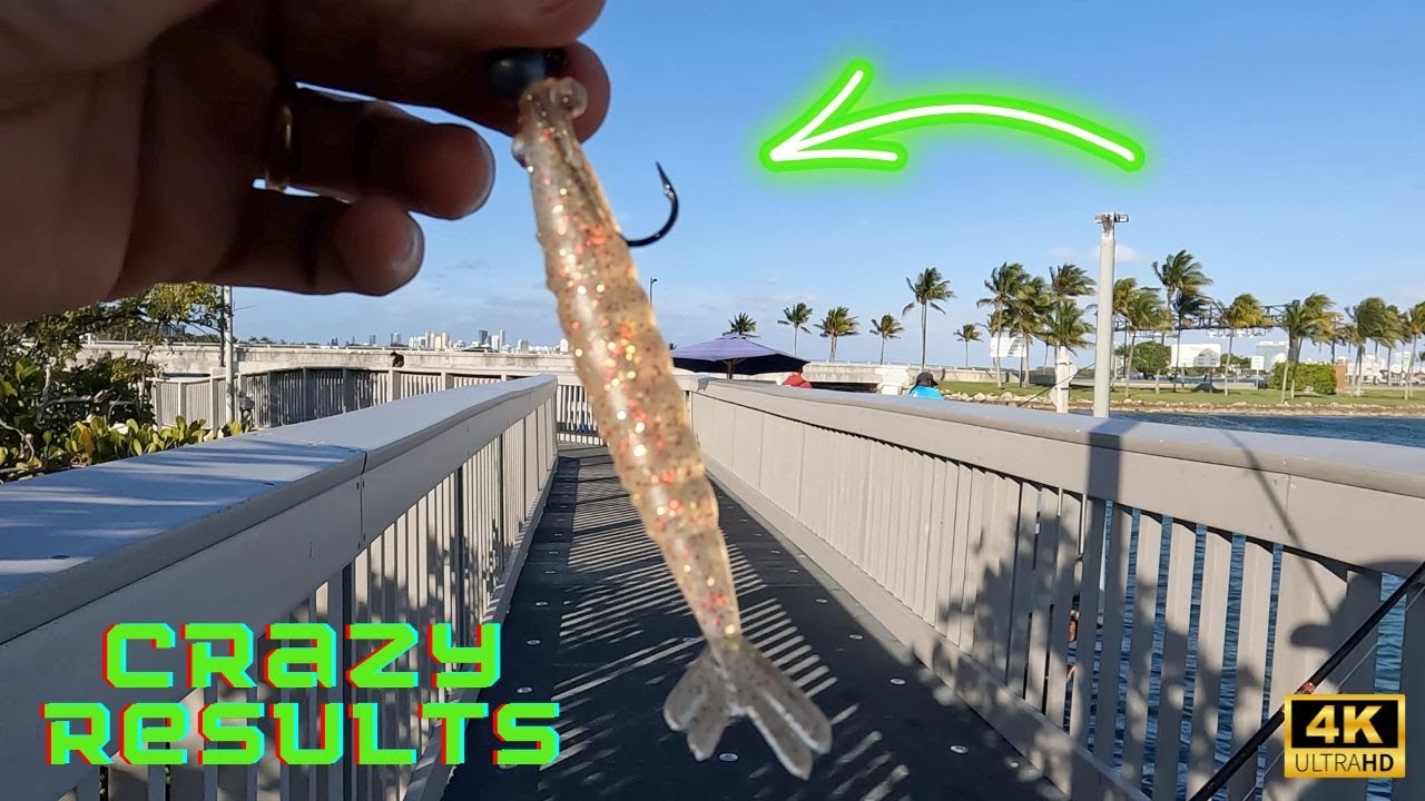Testing out the FAMOUS (THUMPER SHRIMP) bait, Very effective.