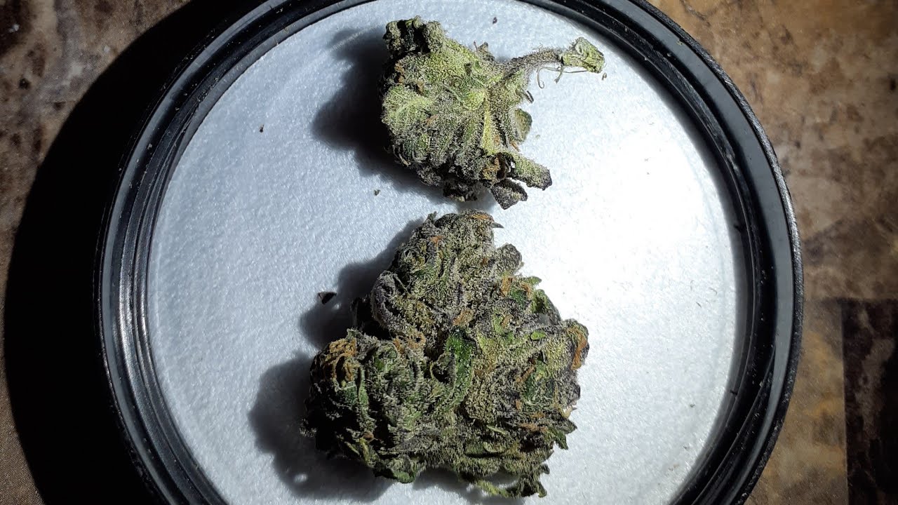 Big Smooth Review