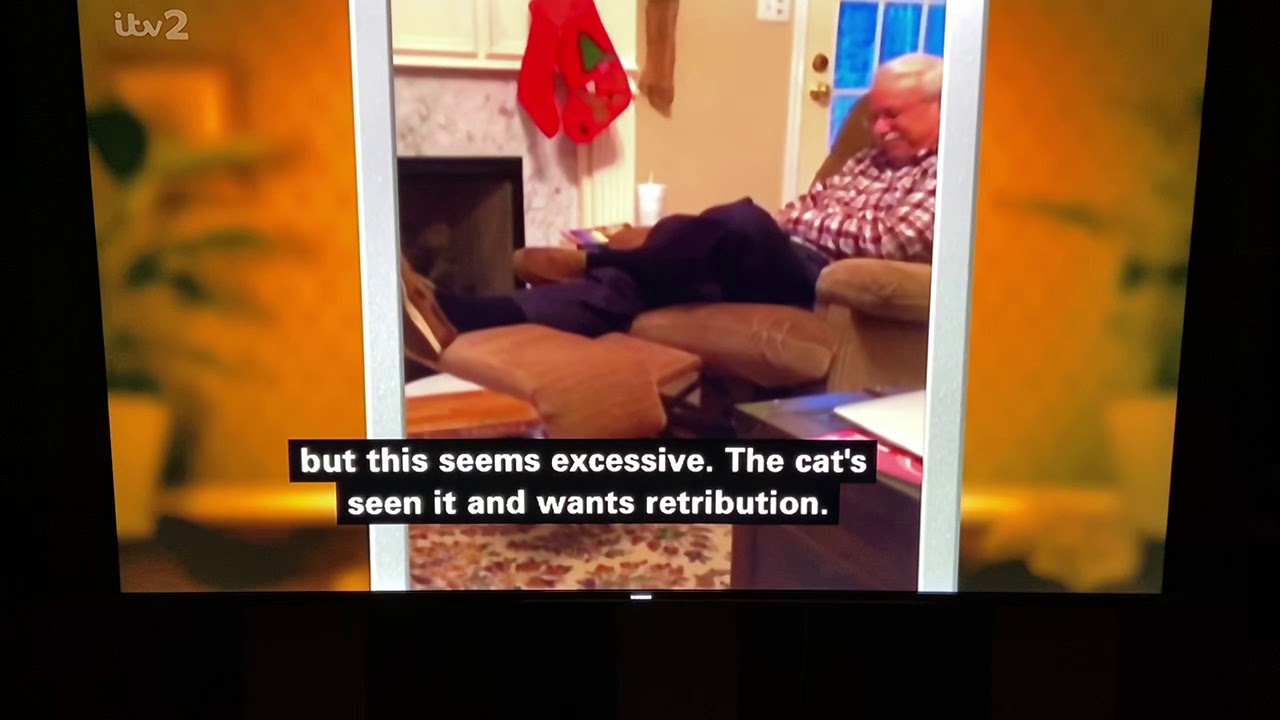 Cat stops Christmas robbers