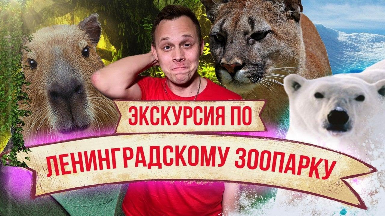 ЭКСКУРСИЯ ПО БЕЗЛЮДНОМУ ЛЕНИНГРАДСКОМУ ЗООПАРКУ