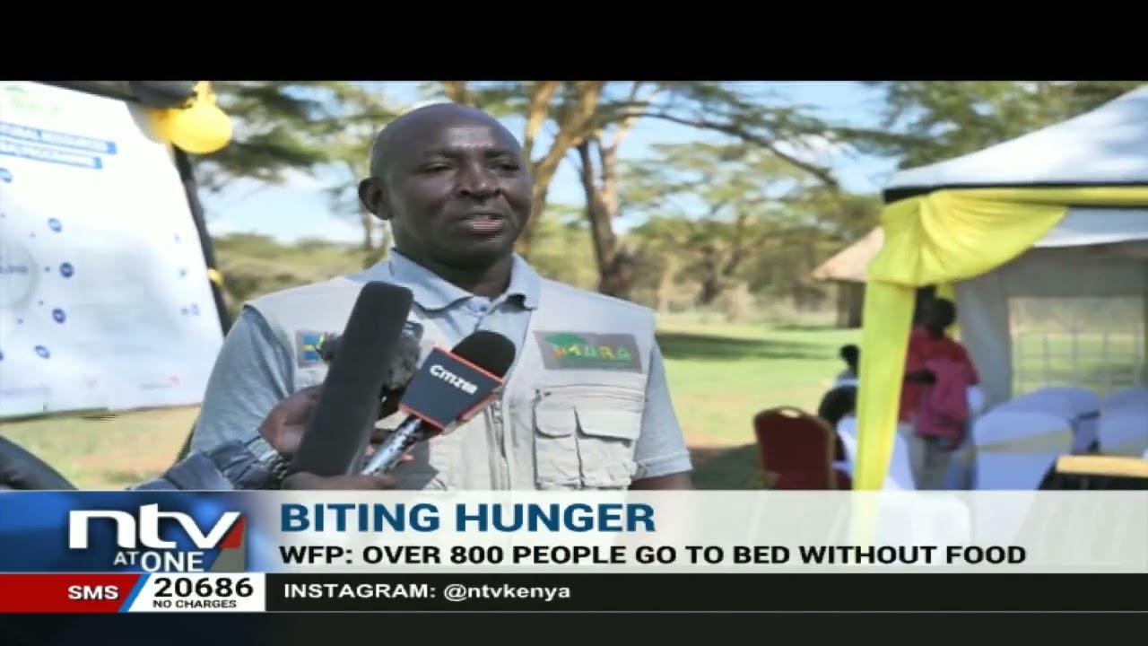 World Food Programme report: over 800 million people go to bed hungry every night