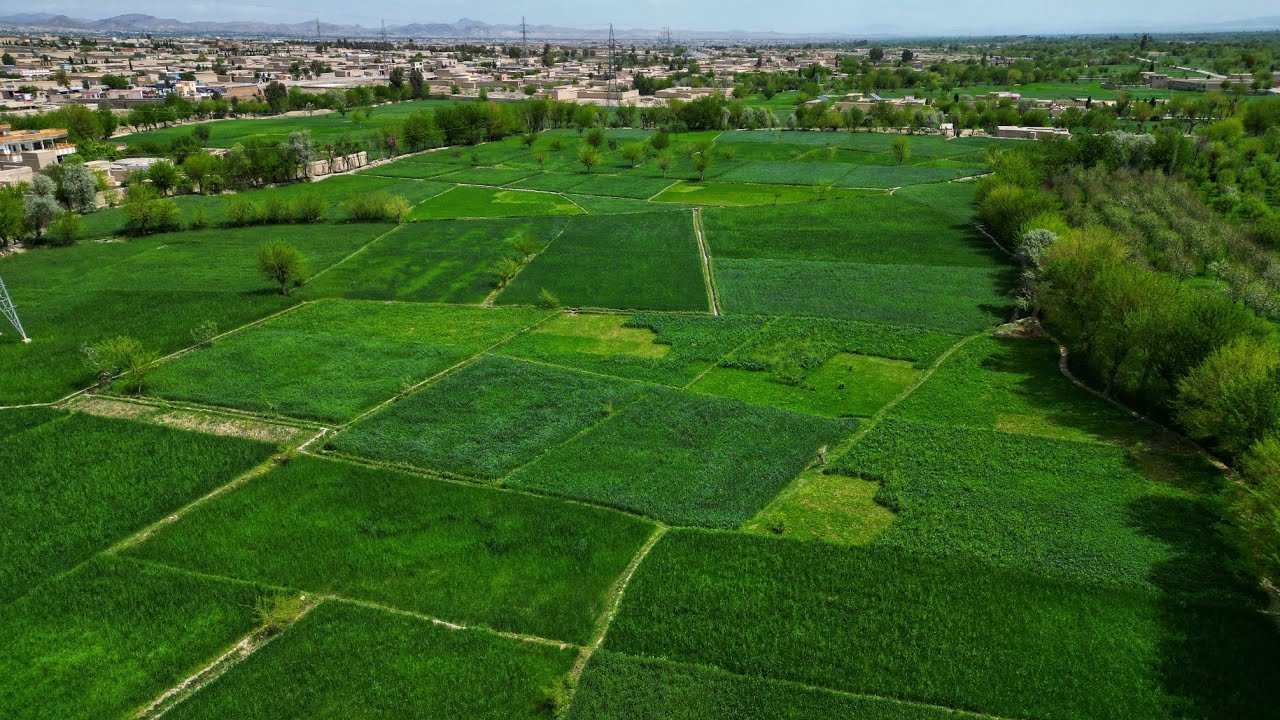 خوست نادرشاه کوټ ولسوالۍ د يوه برخې ښکلانې!