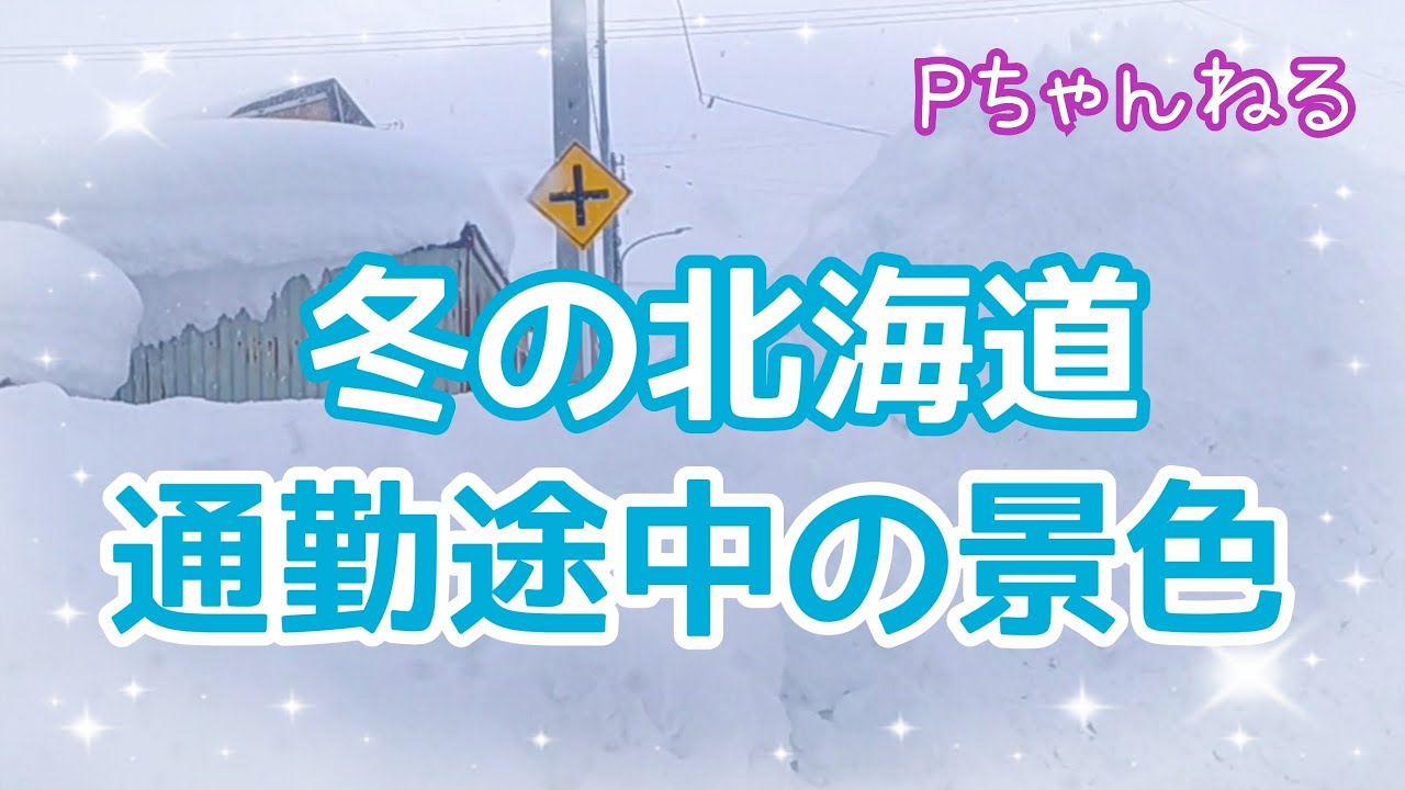 【冬の北海道】独身Pちゃんの通勤の景色🚐