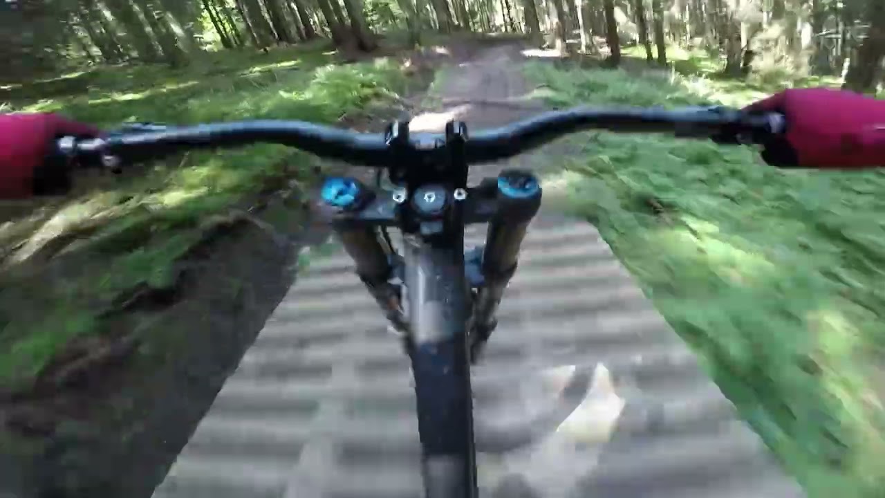 Chill Trail 2024