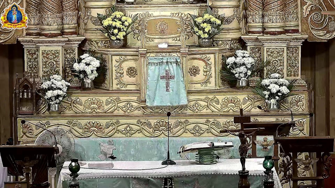 5th Week of   Ordinary Time,  Thursday   12th Feb 2026.