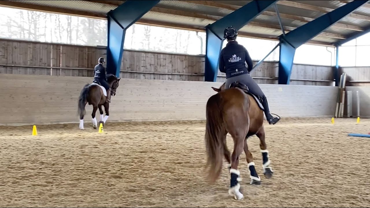 H&aring;llbarhetsvecka hos Svensk Ridsport - Schockem&ouml;hles fyrkant.