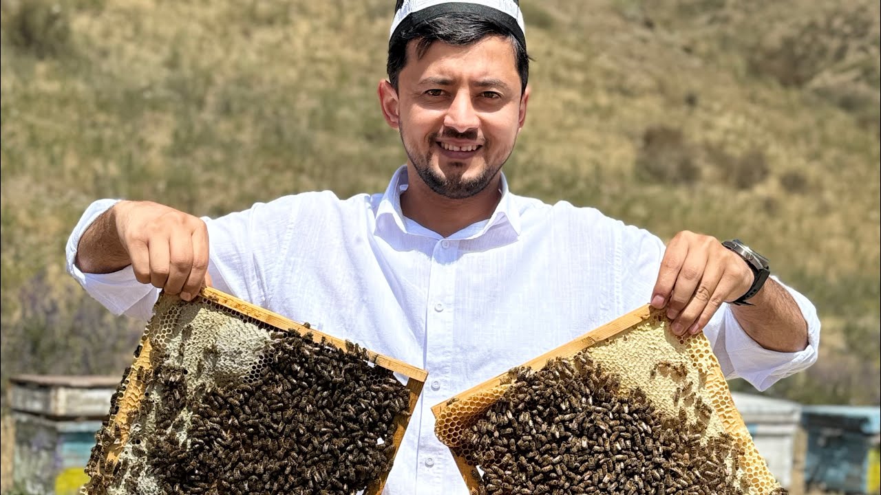 Пчеловод! Натуральный Мёд🍯 | Асали тозаи Шаҳримтон⛰️