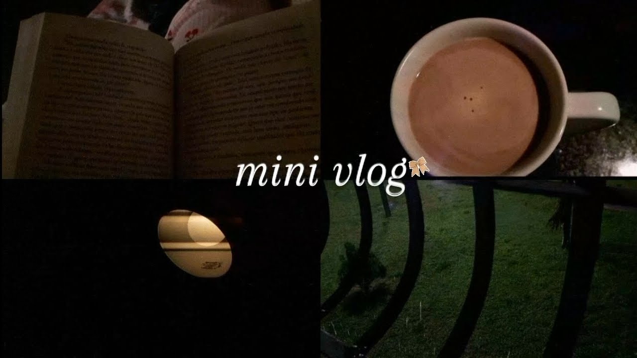 carnaval & life diares - rainy days, study with me, livros, chocolate quente, calm vlog...
