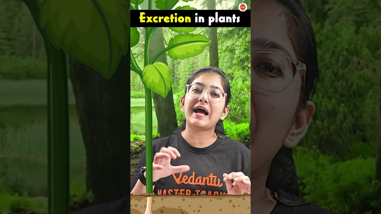 How do Plants Excrete? | Excretion in Plants | Life Processes Class10 Science Biology #CBSE2024