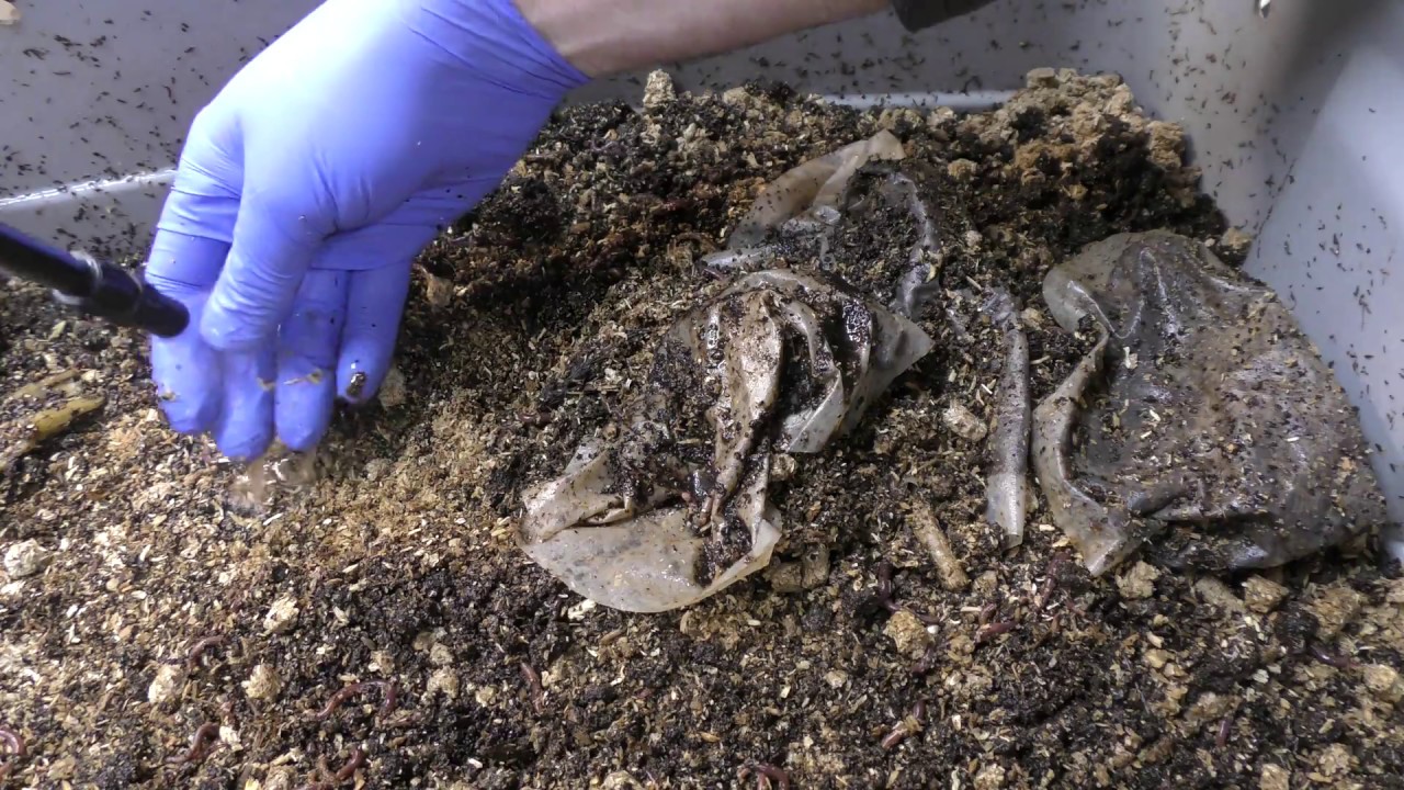 Hardwood Pellets as bedding update (11/9/2018)