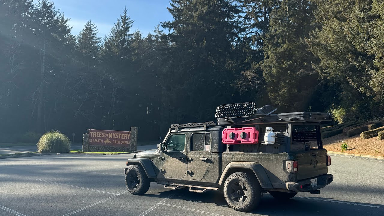 Redwoods National Park and Cali Coast