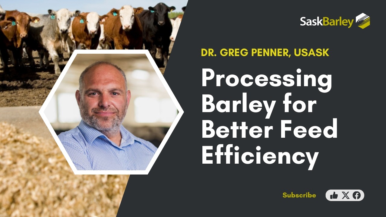 Barley Isn’t Corn: How to Process It for Maximum Feed Efficiency