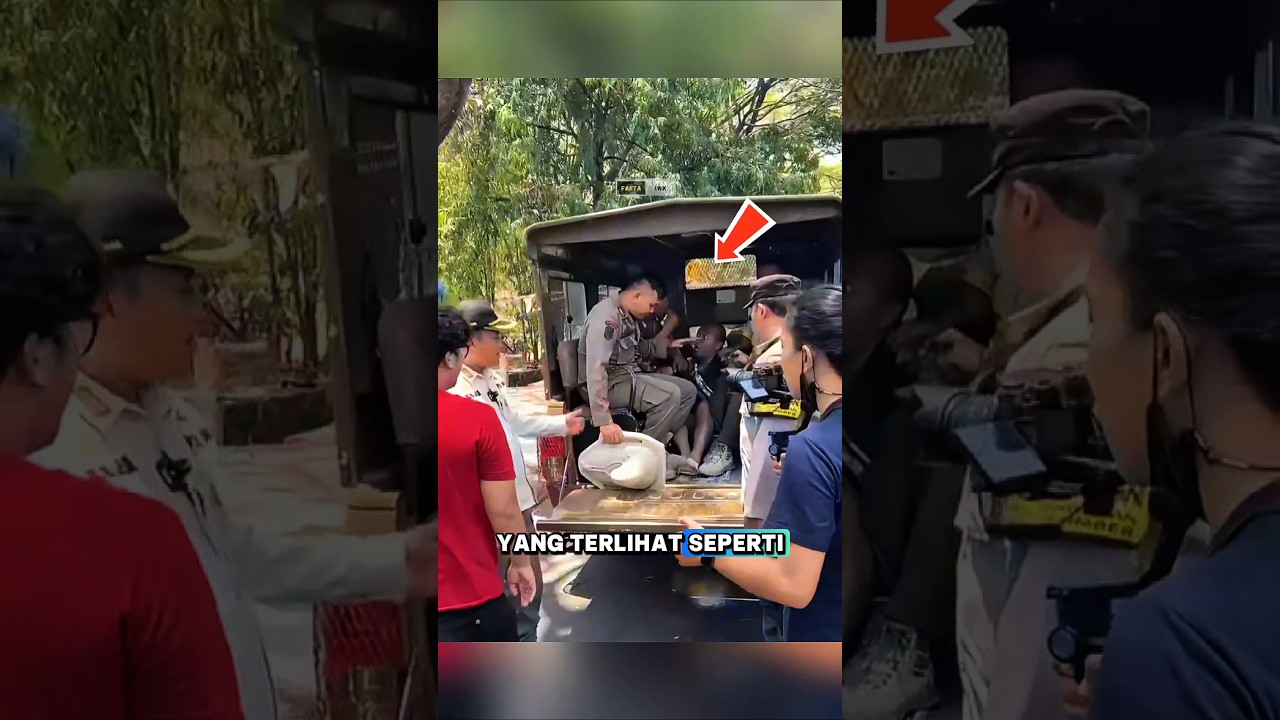 Ngonten Orang Gila, Berakhir Di Tangkap Satpol PP.⁉️#shorts
