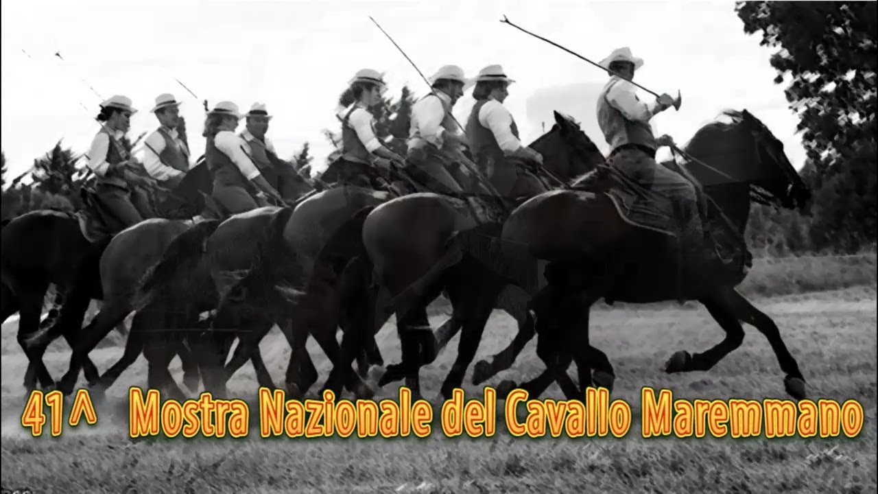 41° Mostra Nazionale del Cavallo Maremmano – Canino (Vt)