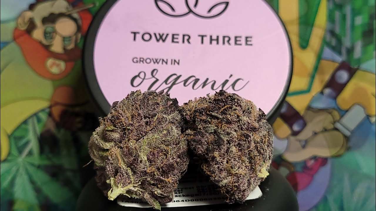 Strain Of The Day -  🏝Tropicana Cherry 🍒 by TOWER THREE (sativa) THE MOST PURPLE IVE EVER SEEN!!!!