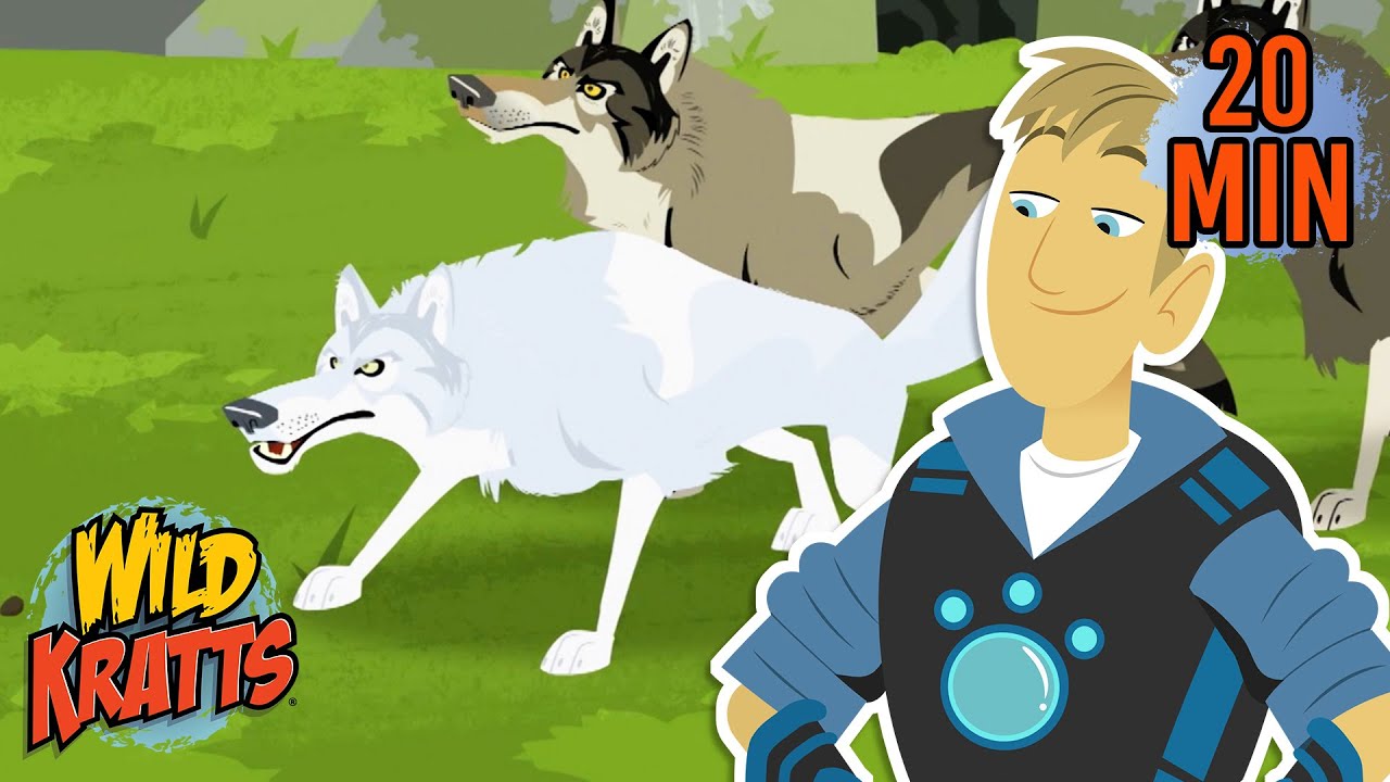 Cool Canines | Wolves, Dogs, Coyotes & More | Animals for Kids | Wild Kratts