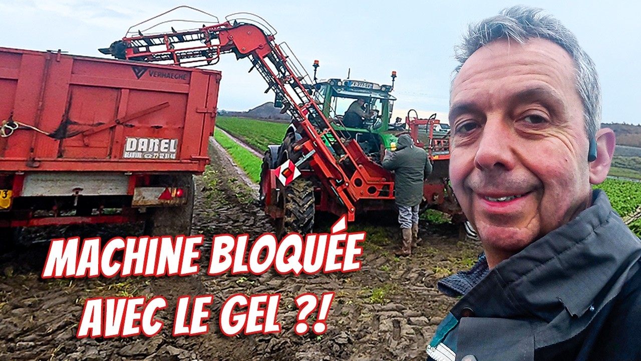 Déblocage tapis et tétines qui lâchent : on sauve la récolte ?! 🤯