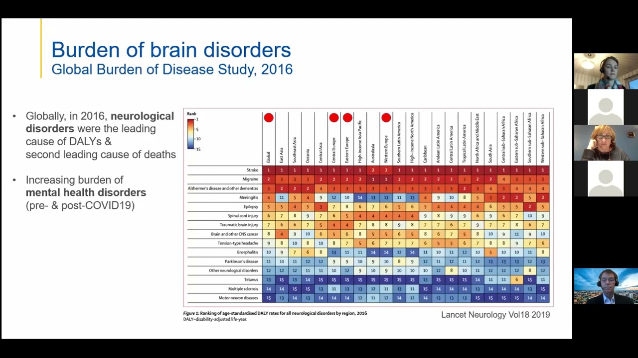 Strengthening and structuring brain research in the EU