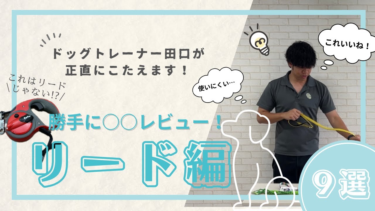 勝手に○○レビュー！~リード編~おすすめのリード教えます！
