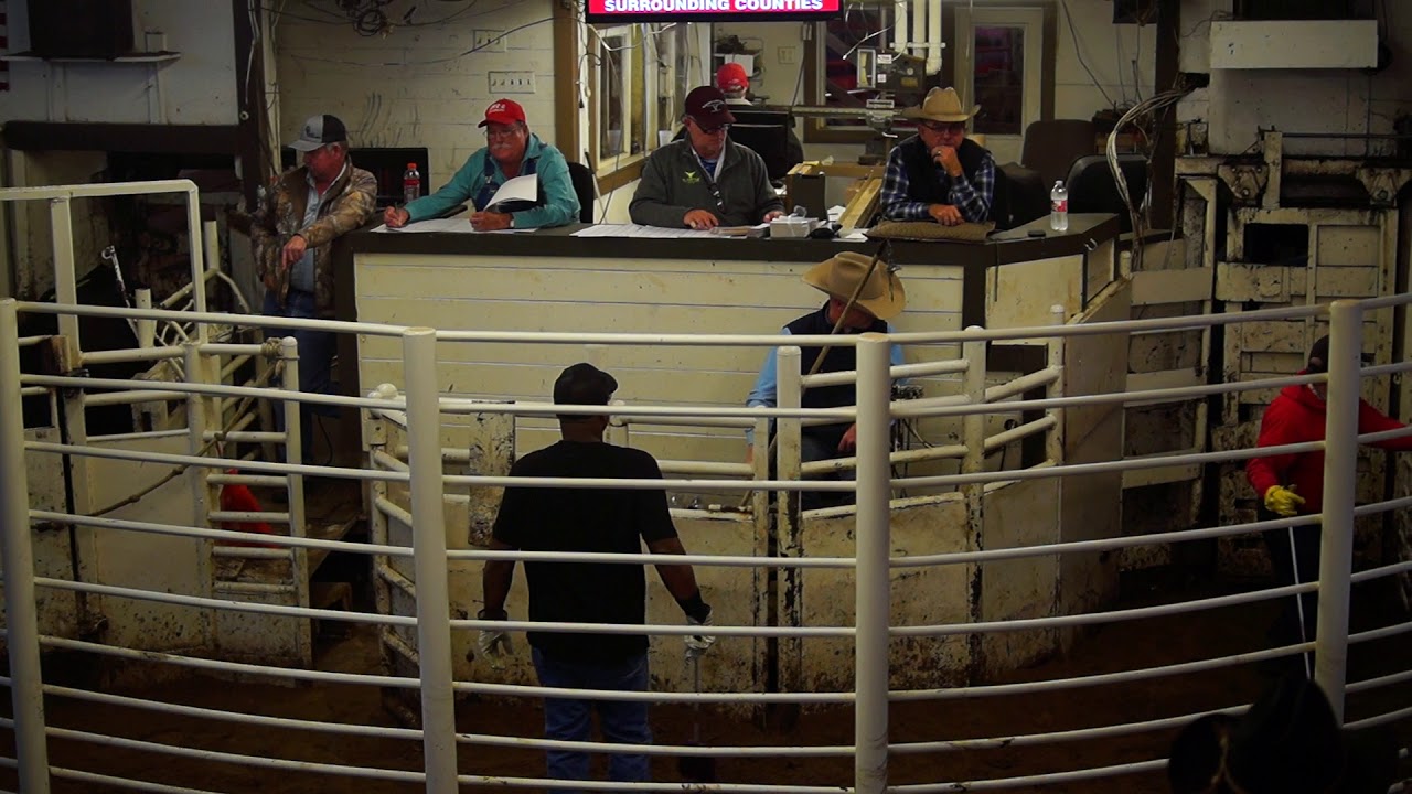 Buffalo Texas Auction November 9th 2019