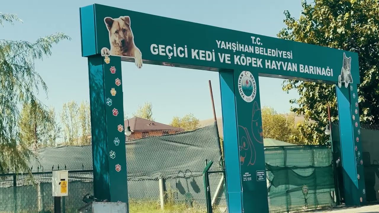 Biz Yaptık, Biz Yaparız! | Hayvan Barınağı